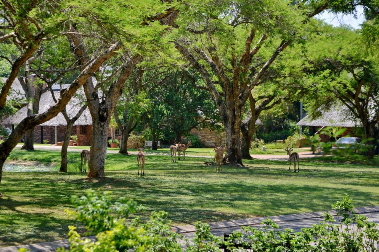 Cambalala - Luxury Units - In Kruger Park Lodge - Serviced Daily, Free Wi-Fi Hazyview Eksteriør bilde